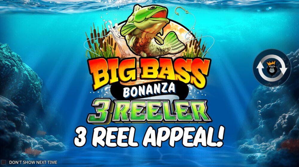 big bass 3 reeler